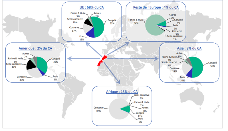 Export Oportunities