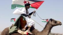 Iran’s west Sahara policy under president Raisi - More Active and much more dangerous