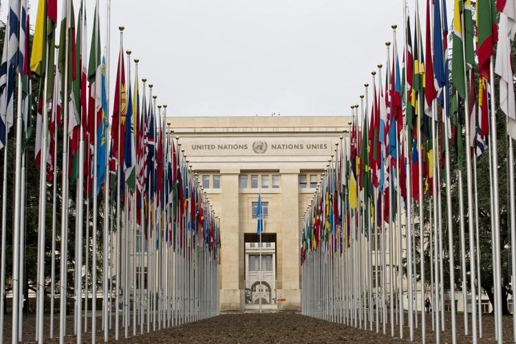 United Nations 