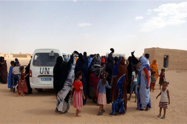 Population of Tindouf Camps, Used as a Business by Algeria and Polisario (Ambassador)