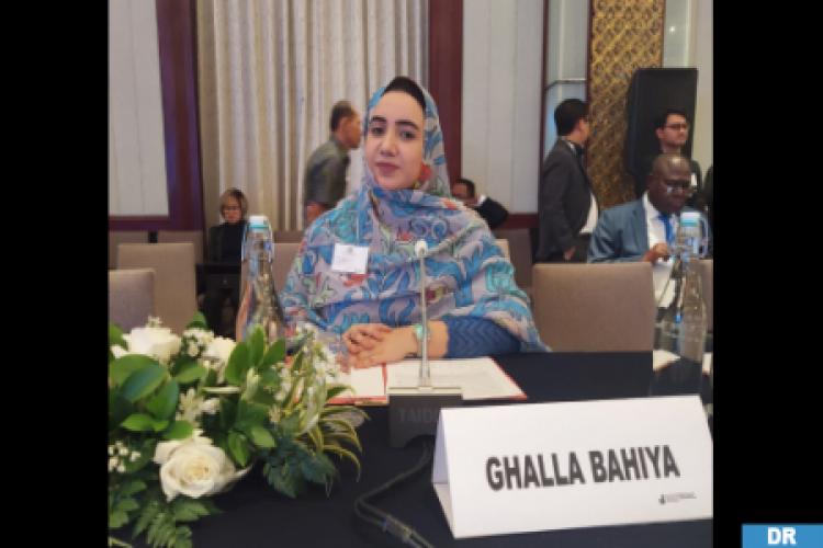 C-24: Dakhla-Oued Eddahab Vice-President Displays Growing Support to Morocco's Autonomy Plan in Sahara