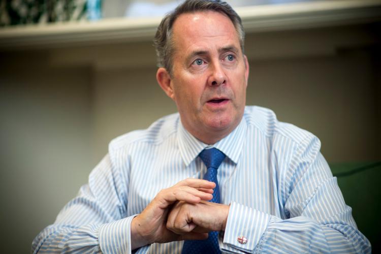 Western Sahara: Autonomy Plan Is 'Only Practical Way' to Move Forward - British MP
